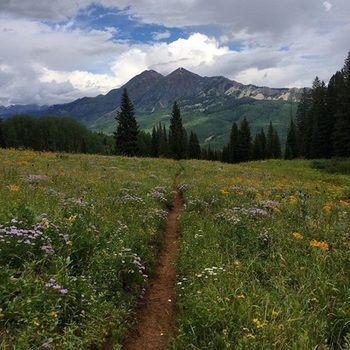 San Moritz Condominiums Mount Crested Butte Buitenkant foto